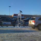 Ravens in Alaska help with Walmart cart returns
