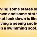 Not having a nationwide lockdown, and a “peeing section” in a swimming pool