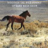 The wild horses of the Sand Wash Basin