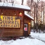 The Flying Squirrel Bakery Cafe, and Bernie