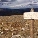 12,000 feet up in Rocky Mountain National Park (Estes Park area)
