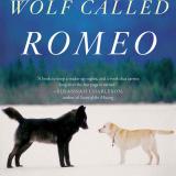 A Wolf Called Romeo