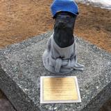 Balto, Palmer, Alaska