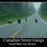 Canadian street gangs will mess you up