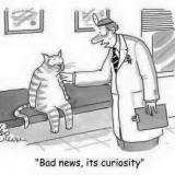 “Bad news, it’s curiosity” (cartoon)
