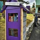 Community library stolen in Anchorage, Alaska