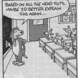 Puppies in a classroom