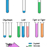 Dopamine, serotonin, oxytocin, adrenaline and our moods