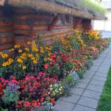Flowers and a grassy roof, the Visitor’s Center, Anchorage, Alaska