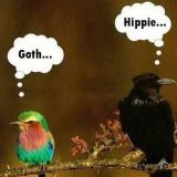 Goth ... Hippie ...