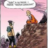 Wisdom consultant