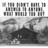 Harley Davidson motorcycle ad: What would you do?