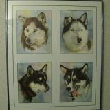 A picture of four sled dog paintings from a motel in Healy, Alaska