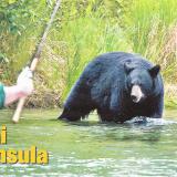 To fish in Alaska, you have to really want it. Kenai Peninsula, Alaska.