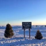 Nome National Forest (an Iditarod joke)