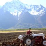 Farmers plowing a field in Palmer, Alaska