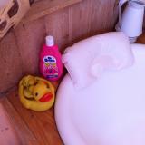 The rubber duck at the Talkeetna Roadhouse
