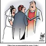 Herman wedding cartoon