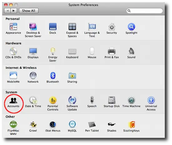 Mac startup programs - System
Preferences