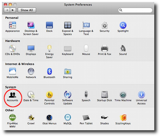 Mac startup programs - System
Preferences