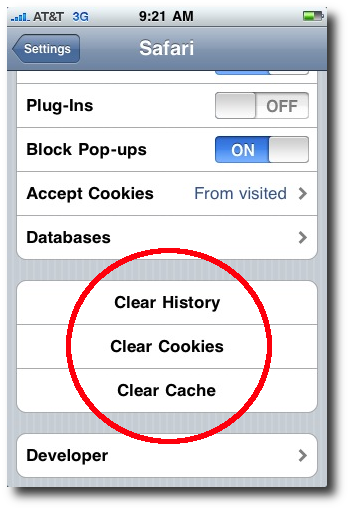 How to enable Chrome in Safari on iPhone or iPod - WhatIsMyBrowser.com