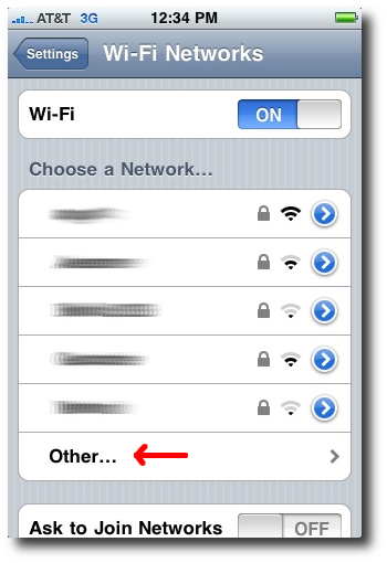 iPhone Wi-Fi network settings - Other option