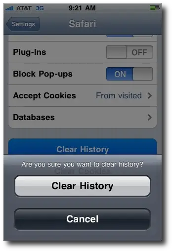 iPhone Safari browser - Clear History